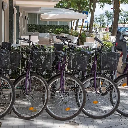 Отель Astoria Мизано-Адриатико